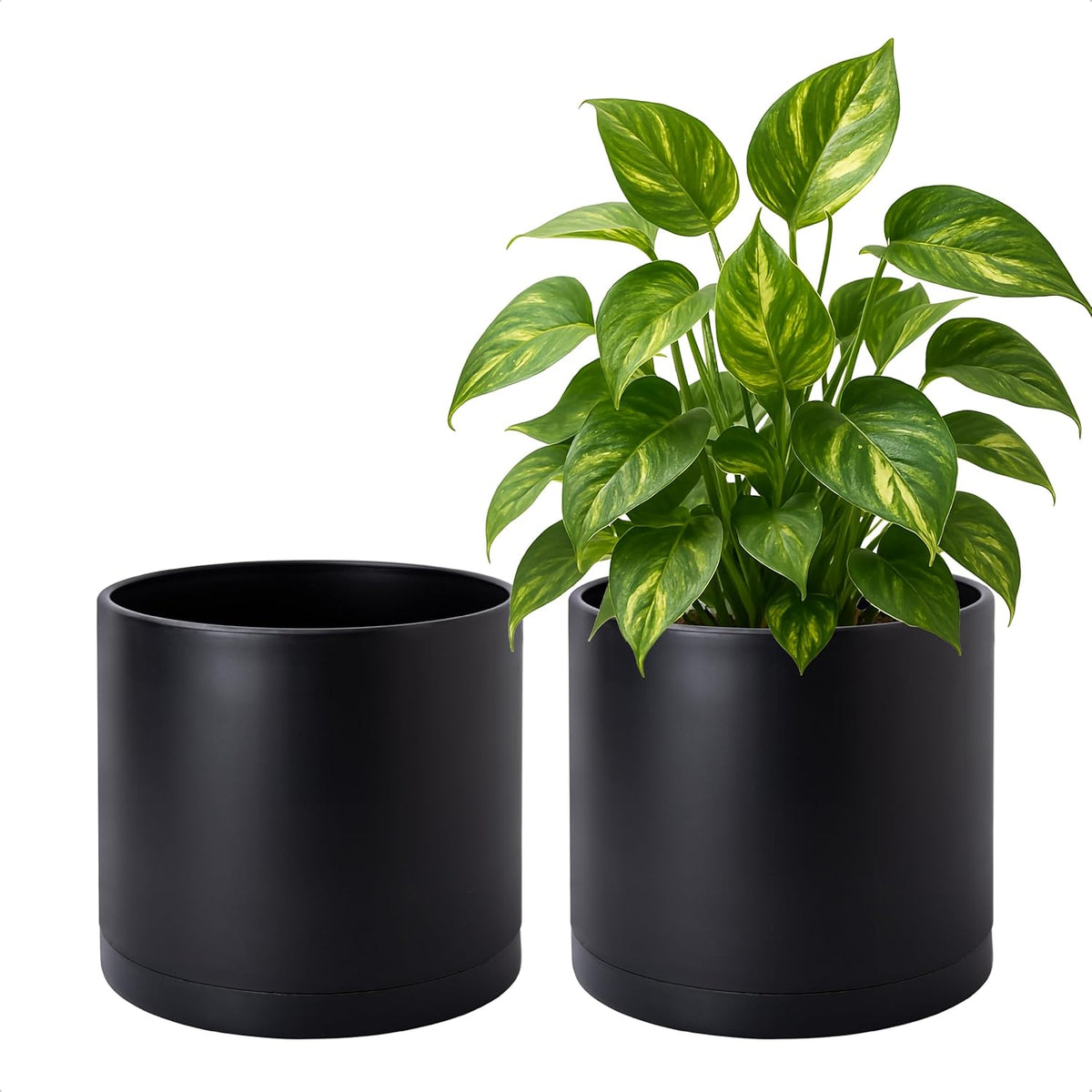 D'vine Dev 2 Pack 8 Inch Modern Plastic Plant Pots, Cylindrical Garden Planters for Plants with