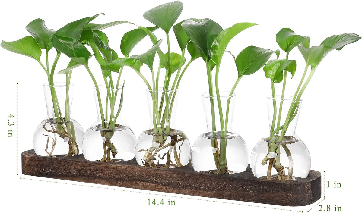 YIBOT Plant Propagation Stations,Glass Propagation Vases for Plants Terrarium with Wooden Tray