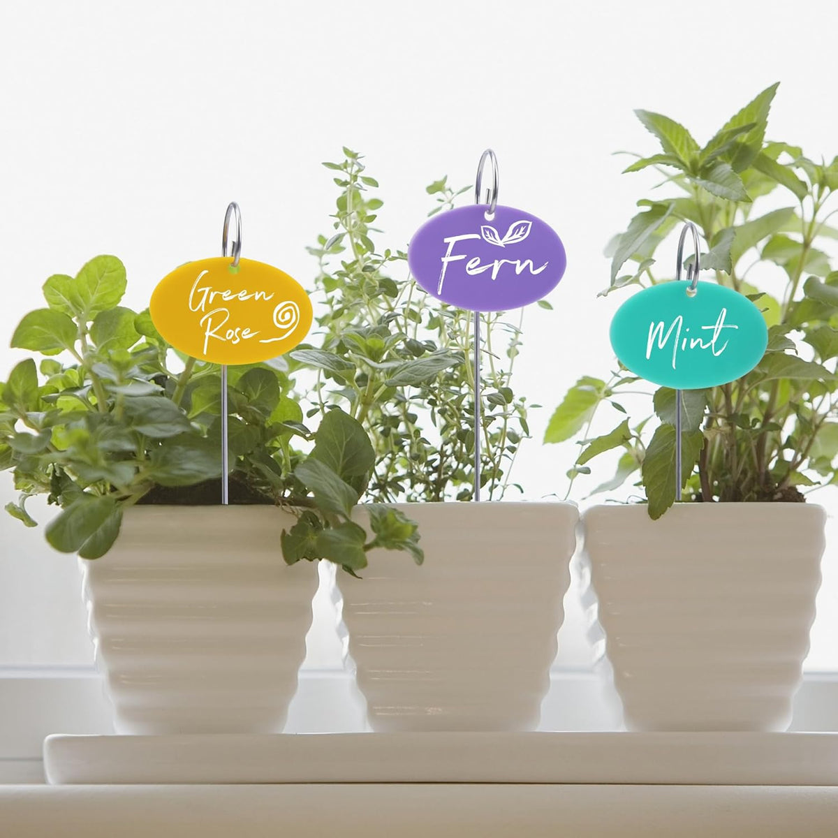 Temlum Plant Labels With Marker Pen, 25 Pcs Garden Markers Label Stakes Sign Tags for Outdoor