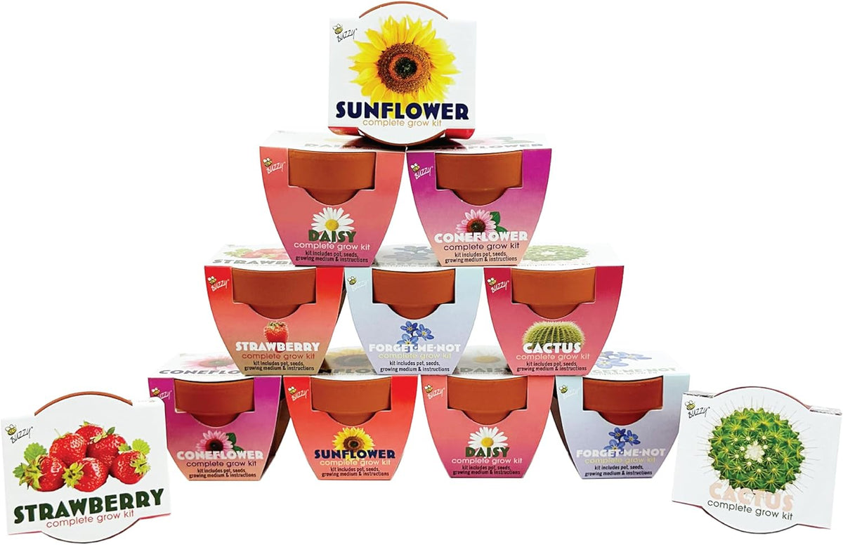 BUZZY Seeds Terracotta Mini Grow Pots | Herb, Plant, Flower Starter Kit for Kids & Adults |