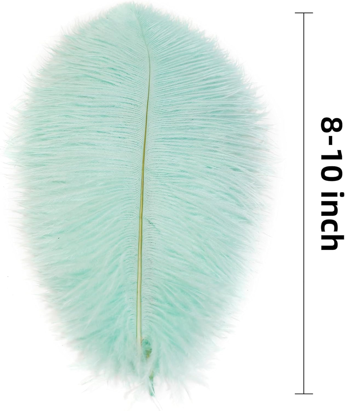 Ballinger Aqua Green Ostrich Feathers - 24pcs 8-10inch Craft Feathers Bulk for Wedding Party