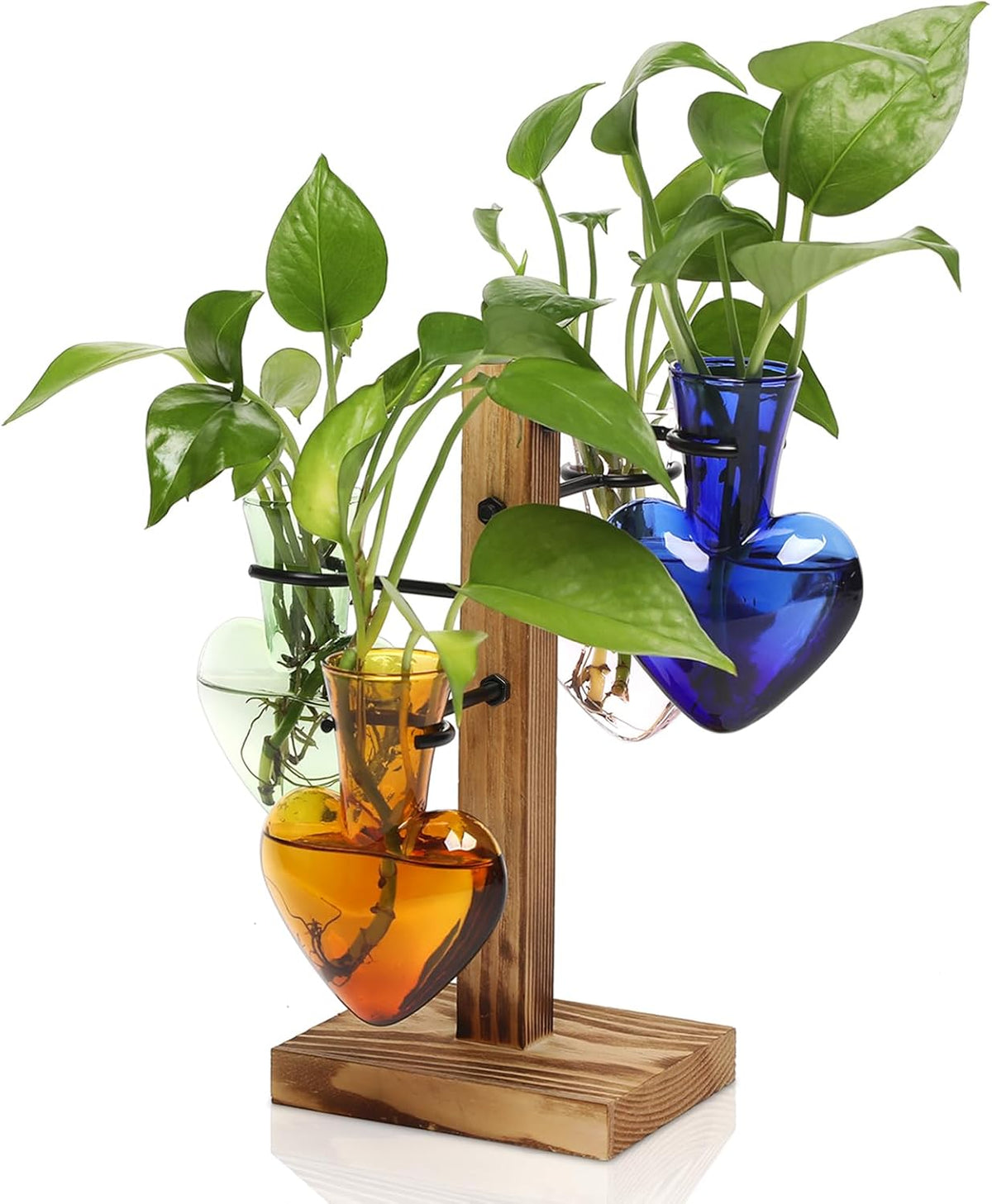 Plants Propagation Stations Plant Terrarium Kit Glass Planters for Indoor Plants House Plant