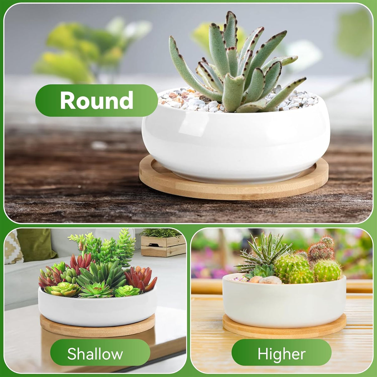 ZOUTOG 2 Pack Succulent Pots, 6 inch Ceramic Planters for Indoor Plants with Bamboo Tray, Pots with