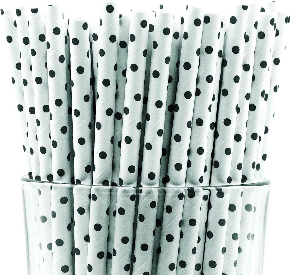Pack of 150 Black Polka Dot Biodegradable 4-Ply Paper Drinking Straws (Compostable, Non-toxic