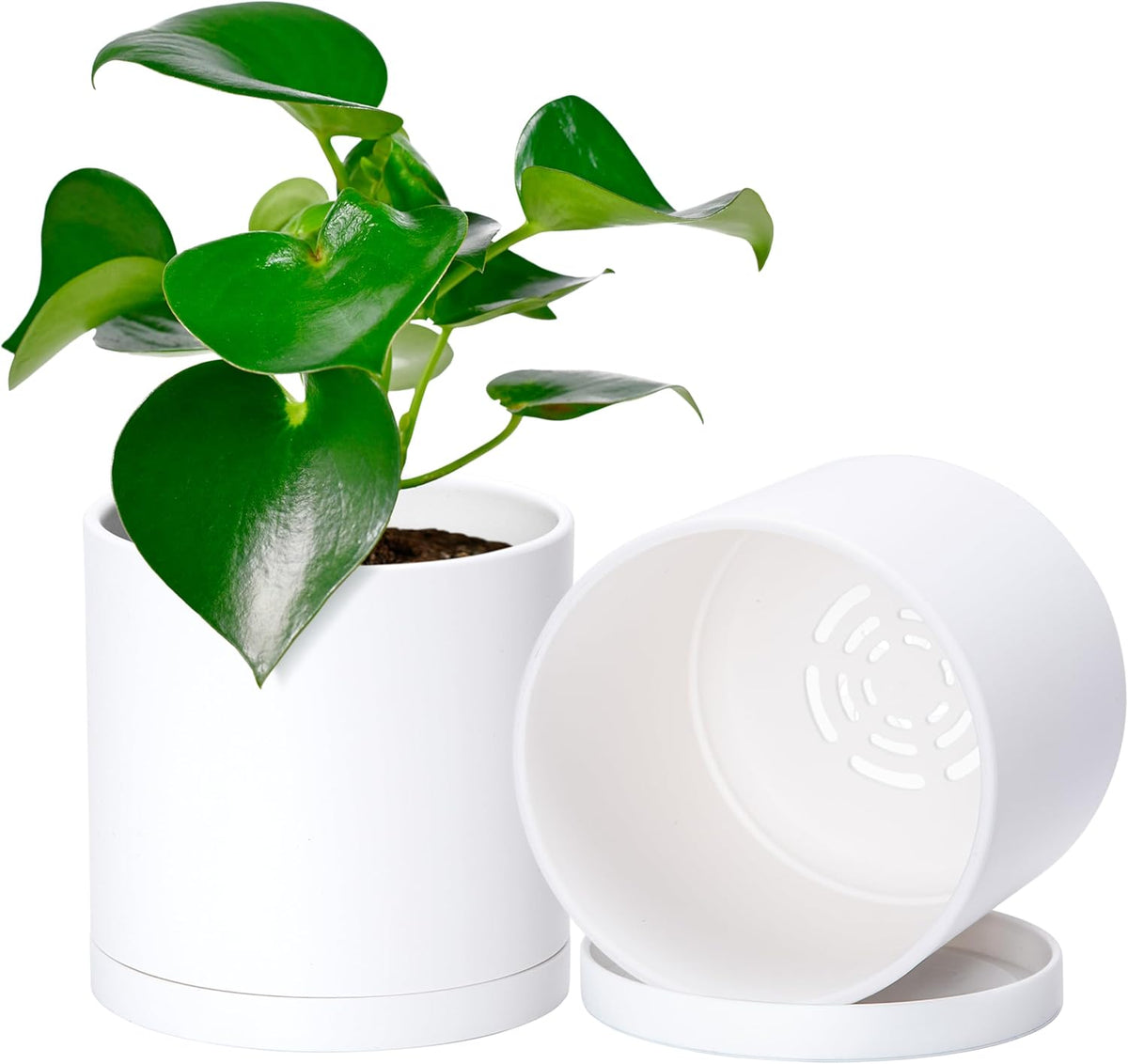 D'vine Dev 2 Pack 5 Inch Modern Plastic Plant Pots, Small Garden Planters for Plant with Drainage