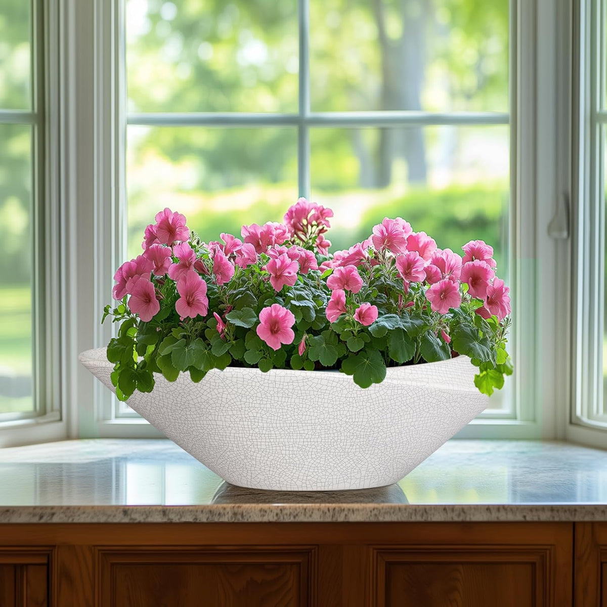 Bonsai Tree Pot - 12 Inch Ceramic Planter with Drainage Hole, Modern Succulent Pots for Indoor &