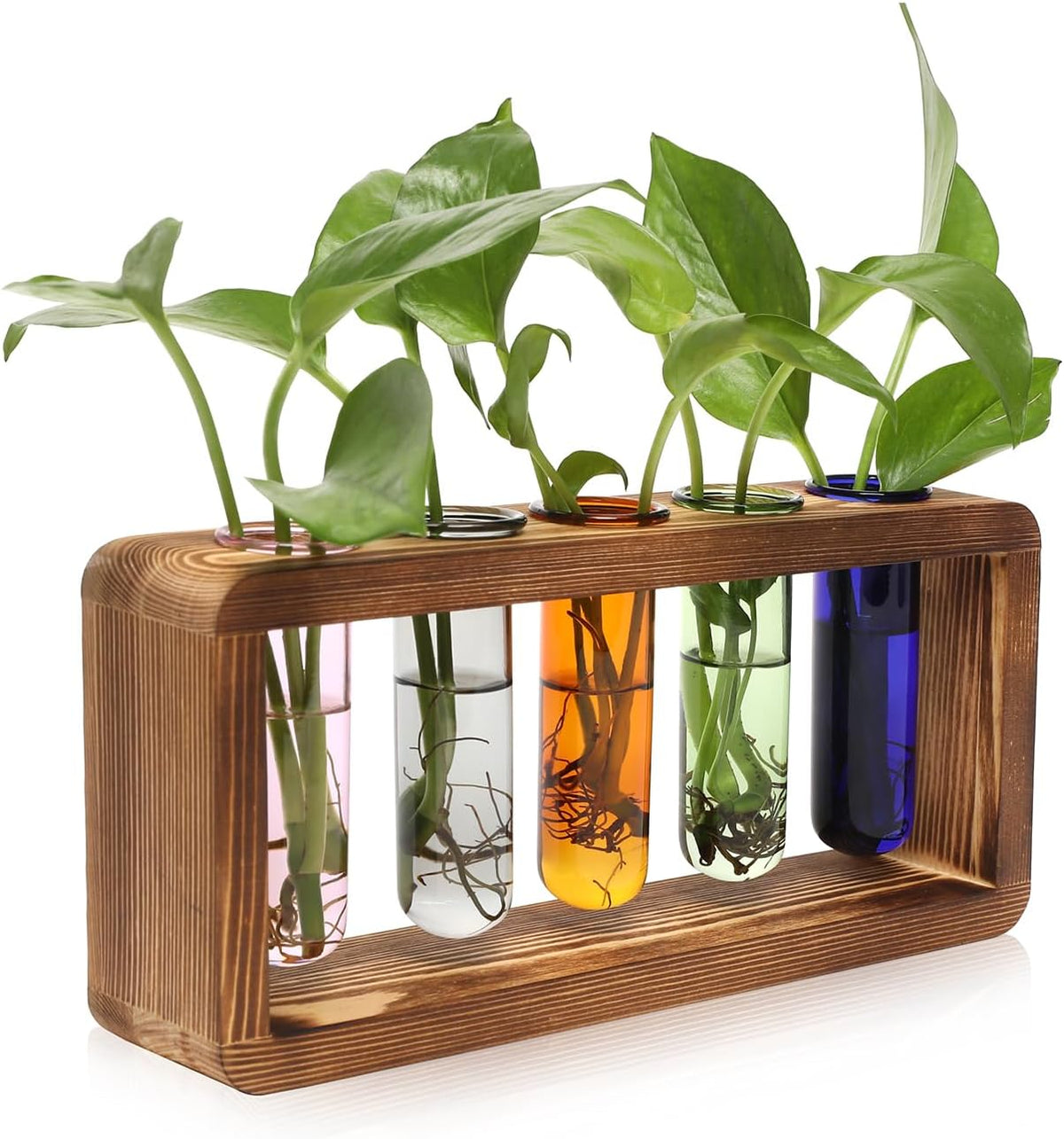 Glass Plant Propagation Station with 5 Test Tubes Colorful Planter Vase Birthday Gifts for Women in