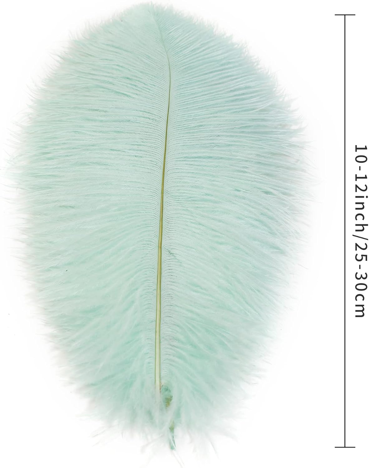 Ballinger Aqua Green Ostrich Feathers - 24pcs 10-12inch Craft Feathers Bulk for Wedding Party