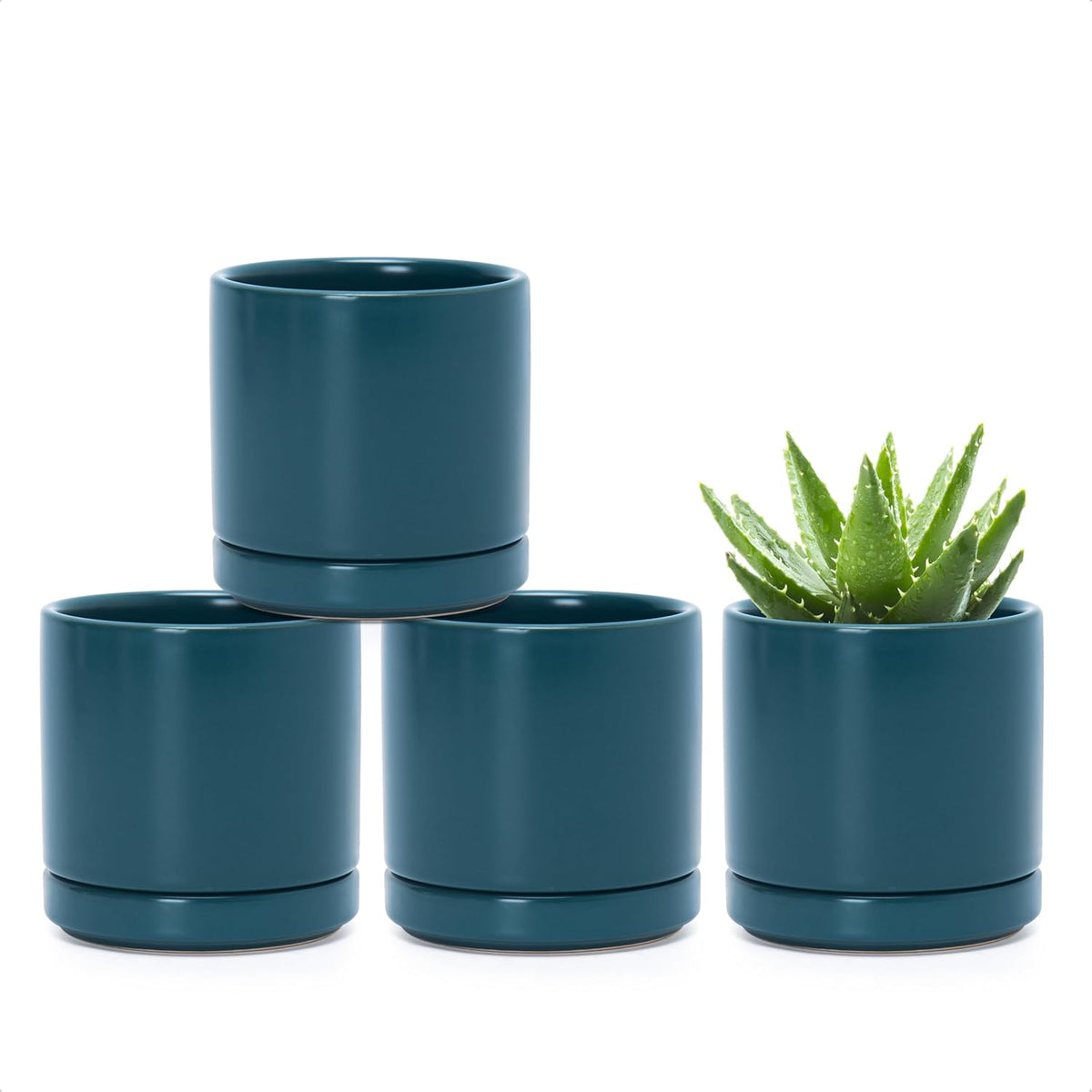 D'vine Dev Set of 4 Small Ceramic Plant Pots, 3.5 Inch Succulent Planter Pot for Plants with