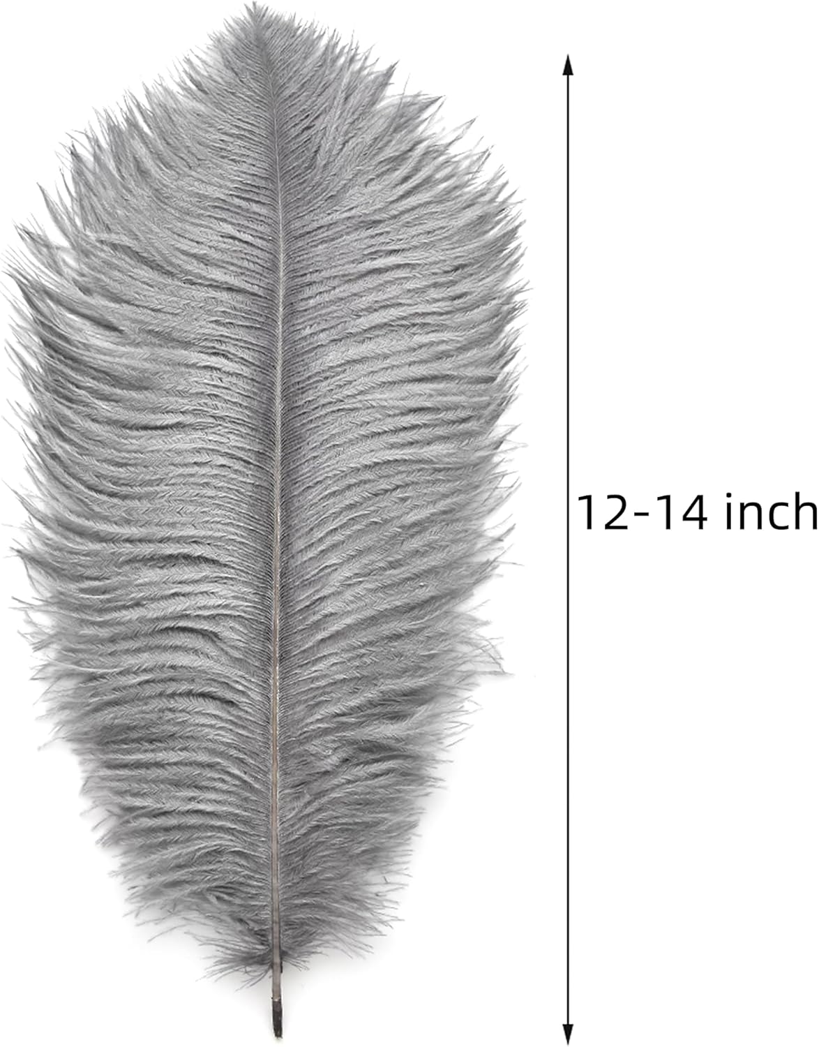Ballinger Natural Gray Ostrich Feathers - 24pcs 12-14inch Big Feathers for Wedding Party