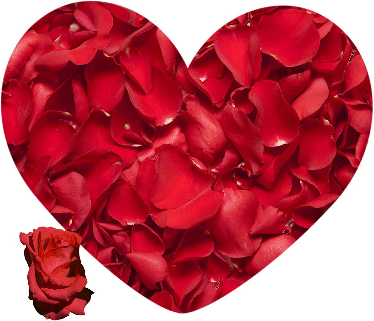 3.5 Oz Dried Rose Petals Wedding Biodegradable Petals, Natural Preservation Real Flower Petals