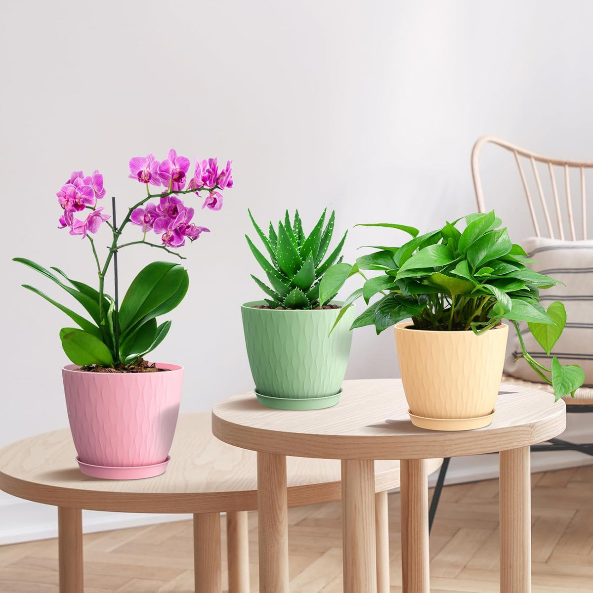 6 inch Flower Pots, 5 Pack Plant Pots with Drainage Holes and Saucers for Indoor Plants, Plastic