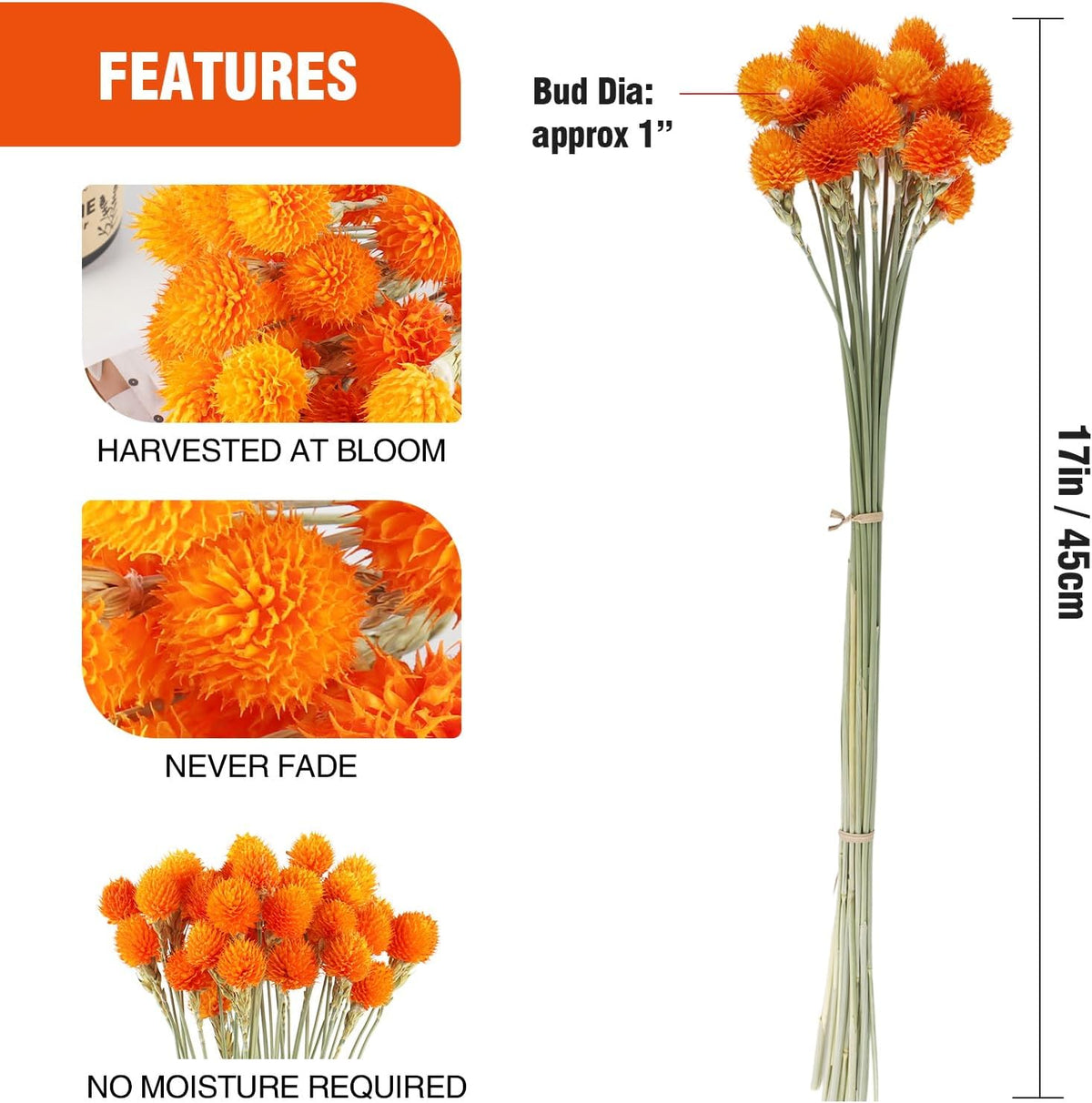 Dried Globe Amaranth Flower with Wheat Straw Natural - 40PCS Bouquet for Vase Home Decor Party DIY