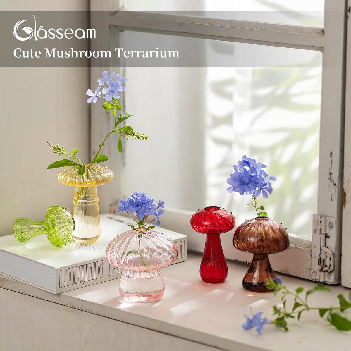 Glasseam Mushroom Glass Planter, Set of 5 Colored Plant Propagation Station, Mini Terrarium for