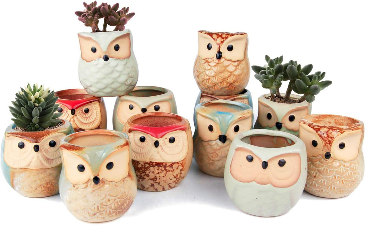 T4U 2.5 Inch Owl Ceramic Succulent Planter Pots with Drainage Hole Set of 12, Mini Cactus Pots Tiny