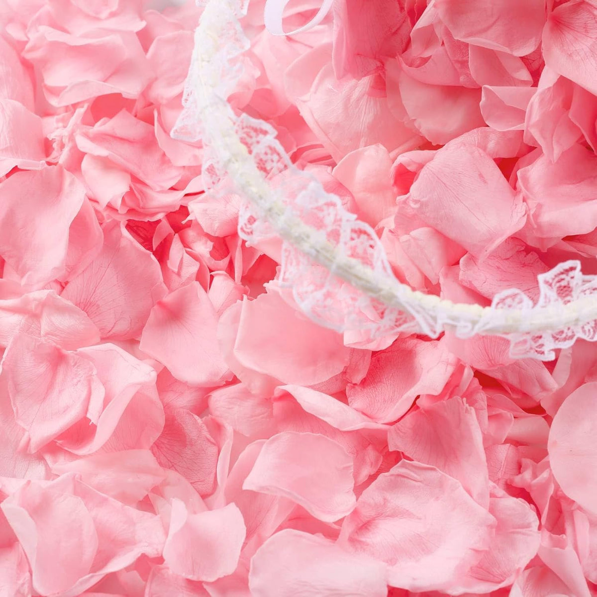300 PCS Real Pink Dried Rose Petals Confetti for Wedding, 2.82oz Freeze Rose Petals for Romantic