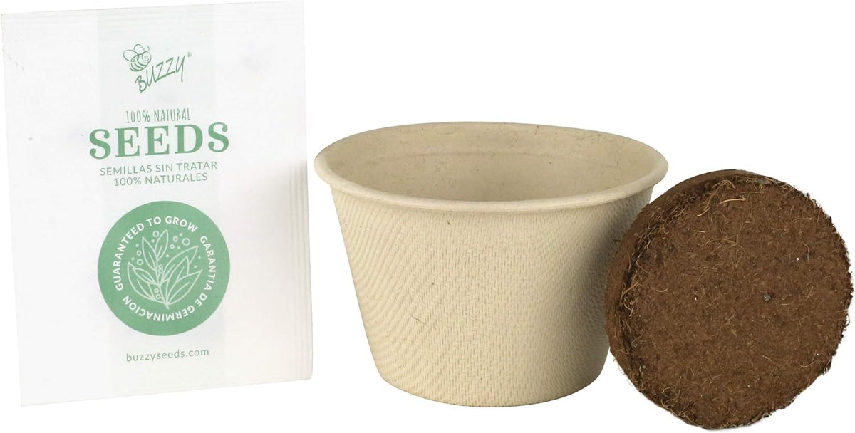 Buzzy Seeds Save The Bees Biodegradable Grow Kit | Herb, Plant, Flower Starter Kit for Kids &