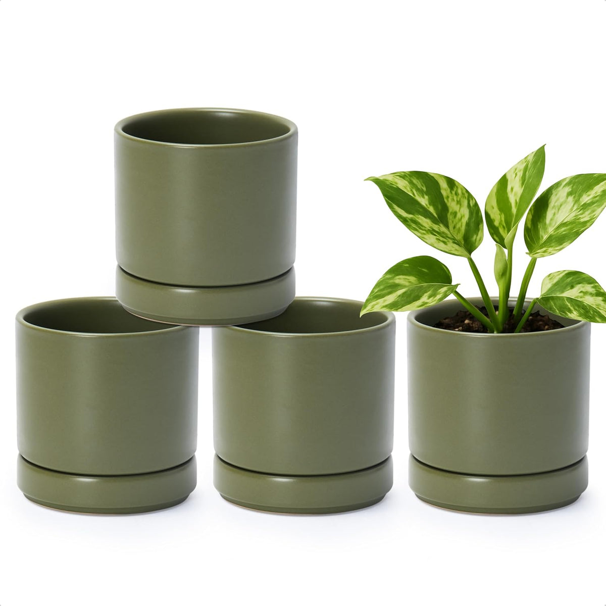 D'vine Dev Set of 4 Small Ceramic Plant Pots, 4.7 Inch Succulent Planter Pot for Plants with