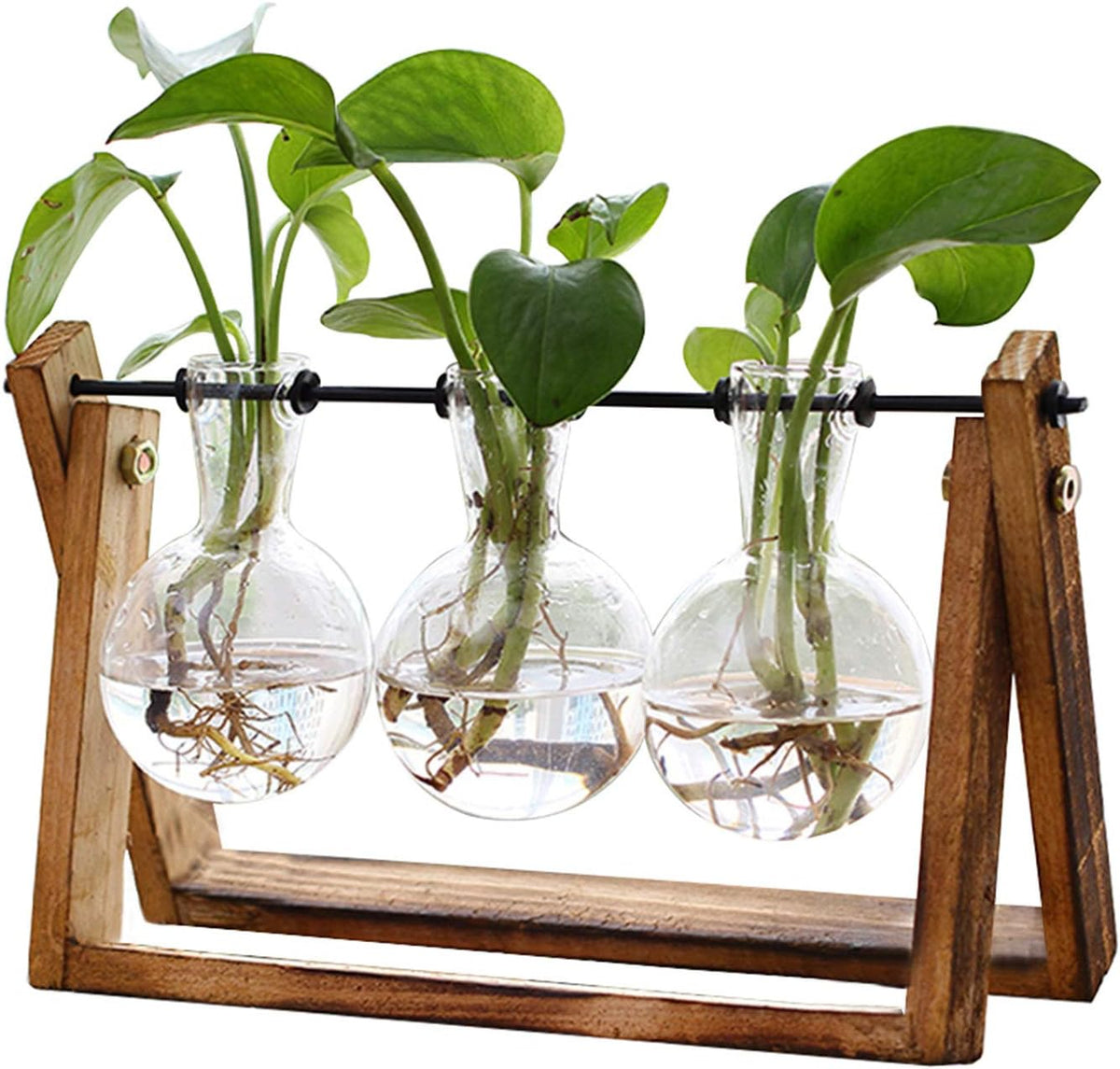 XXXFLOWER Plant Terrarium with Wooden Stand, Air Planter Bulb Glass Vase Metal Swivel Holder Retro