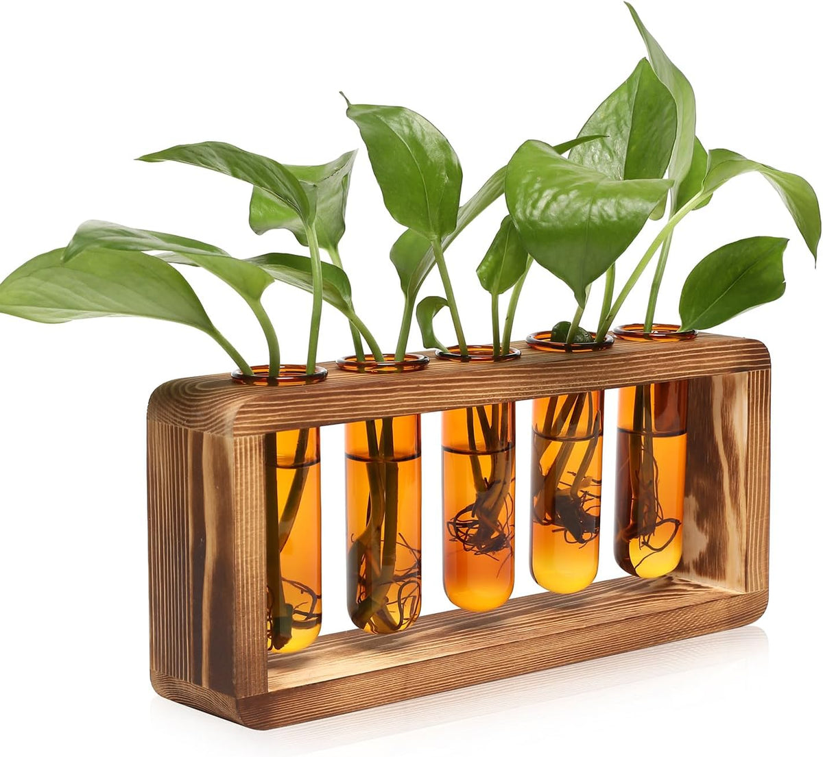 Glass Plant Propagation Station with 5 Test Tubes Colorful Planter Vase Birthday Gifts for Women in