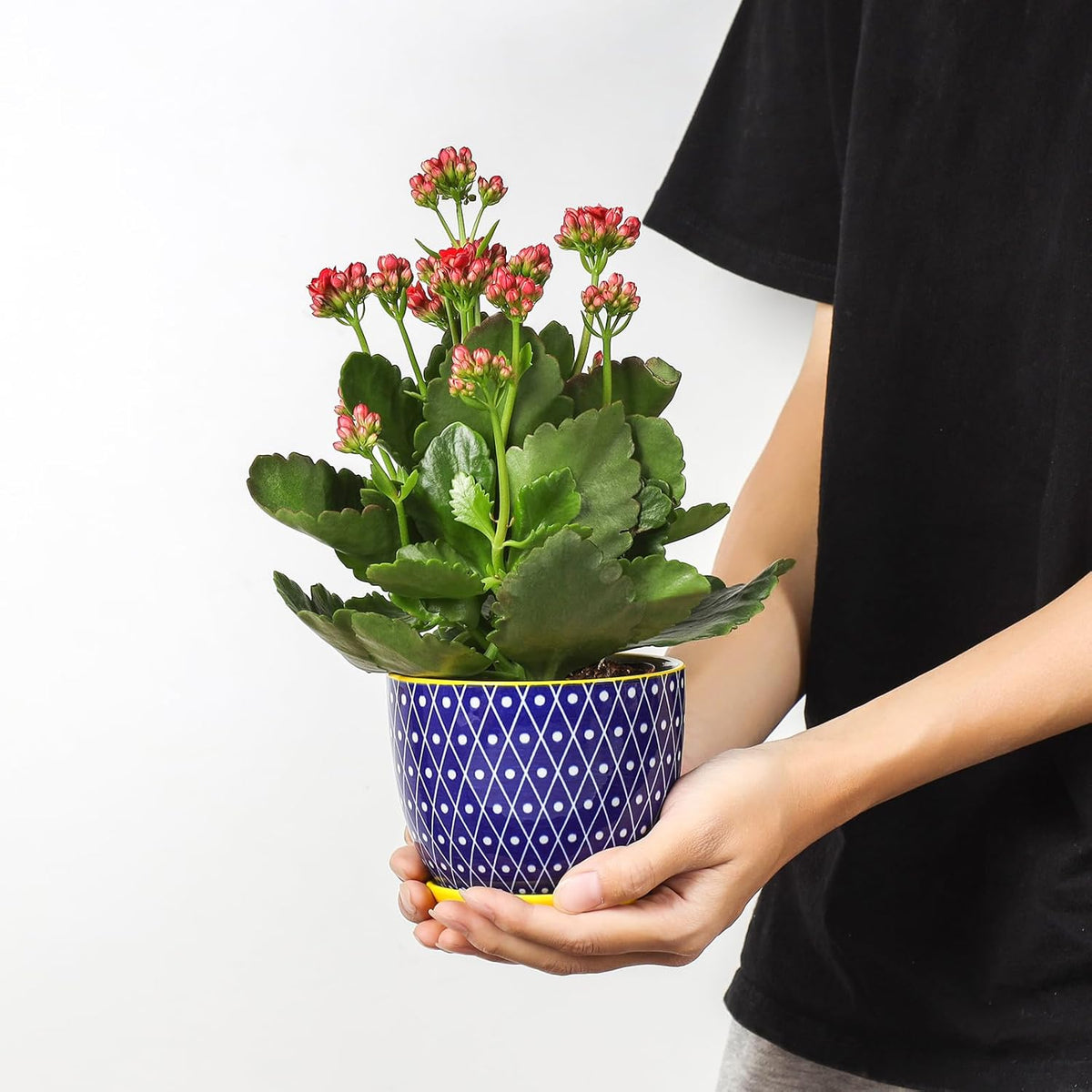 Selamica Ceramic Plant Pots, 4.6 Inch Flower Pots for Indoor Plants, Succulent Pots with Drainage