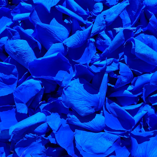200Pcs Real Dried Preserved Royal Blue Rose Petals, Natural Flowers 1.75oz for Romantic Night