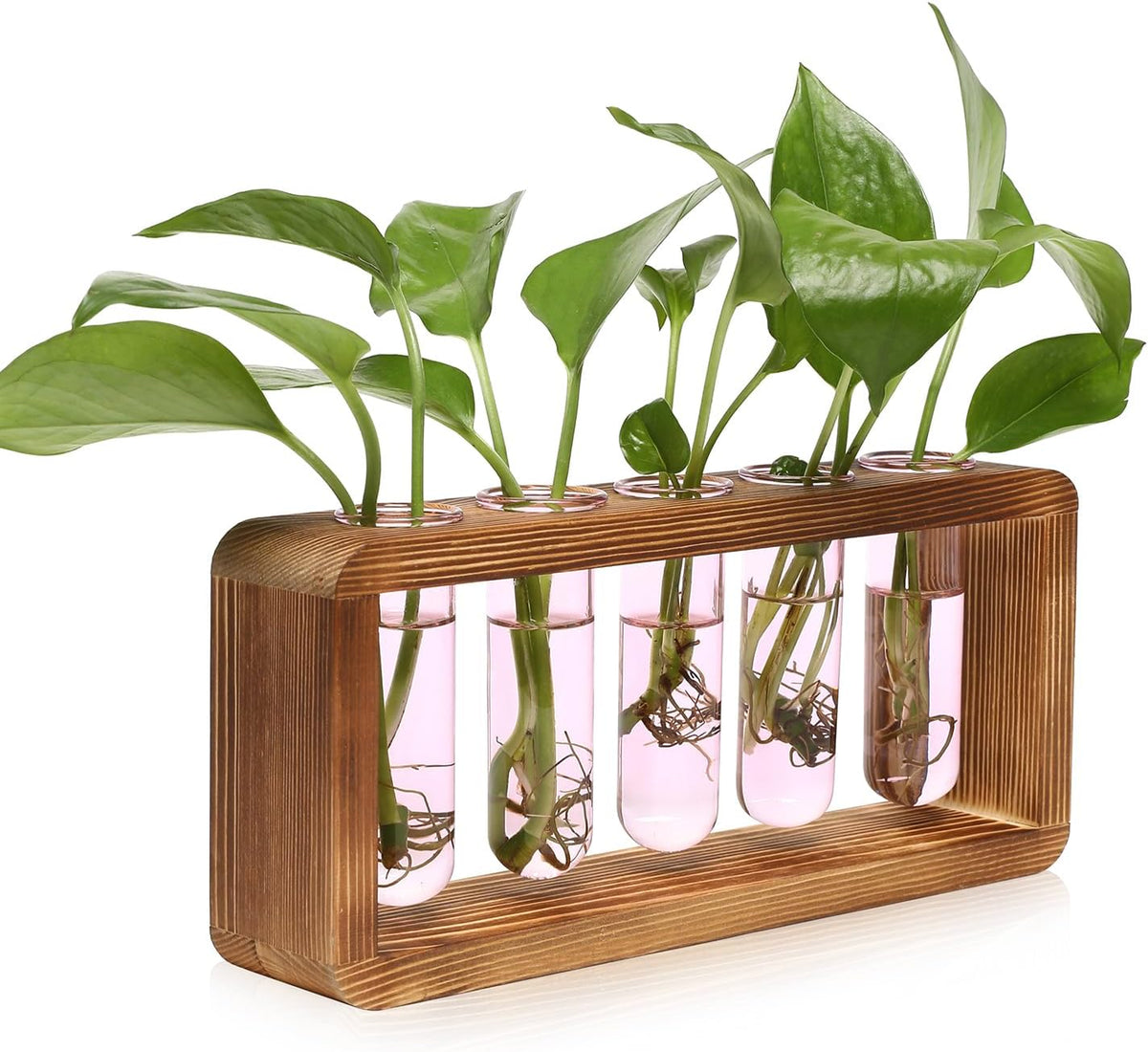 Glass Plant Propagation Station with 5 Test Tubes Colorful Planter Vase Birthday Gifts for Women in