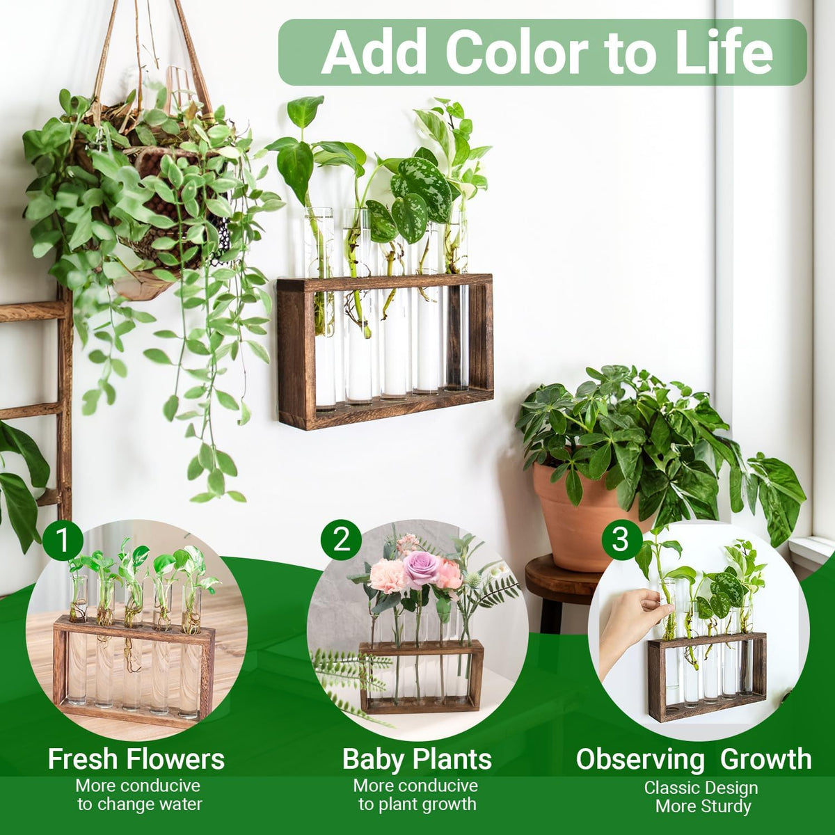 Ivolador Plant Propagation Station Terrariumin Wall Test Tube Vases Bud Tabletop Glass Wooden Stand
