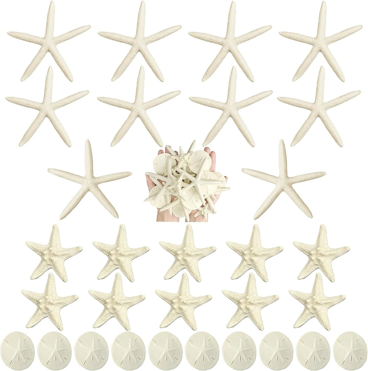 Queekay 15 Pieces Resin Starfish Sand Dollars 2.0 Inch 4.7 Inch Starfish 2.3 Inch Sand Dollars