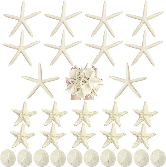 Queekay 15 Pieces Resin Starfish Sand Dollars 2.0 Inch 4.7 Inch Starfish 2.3 Inch Sand Dollars