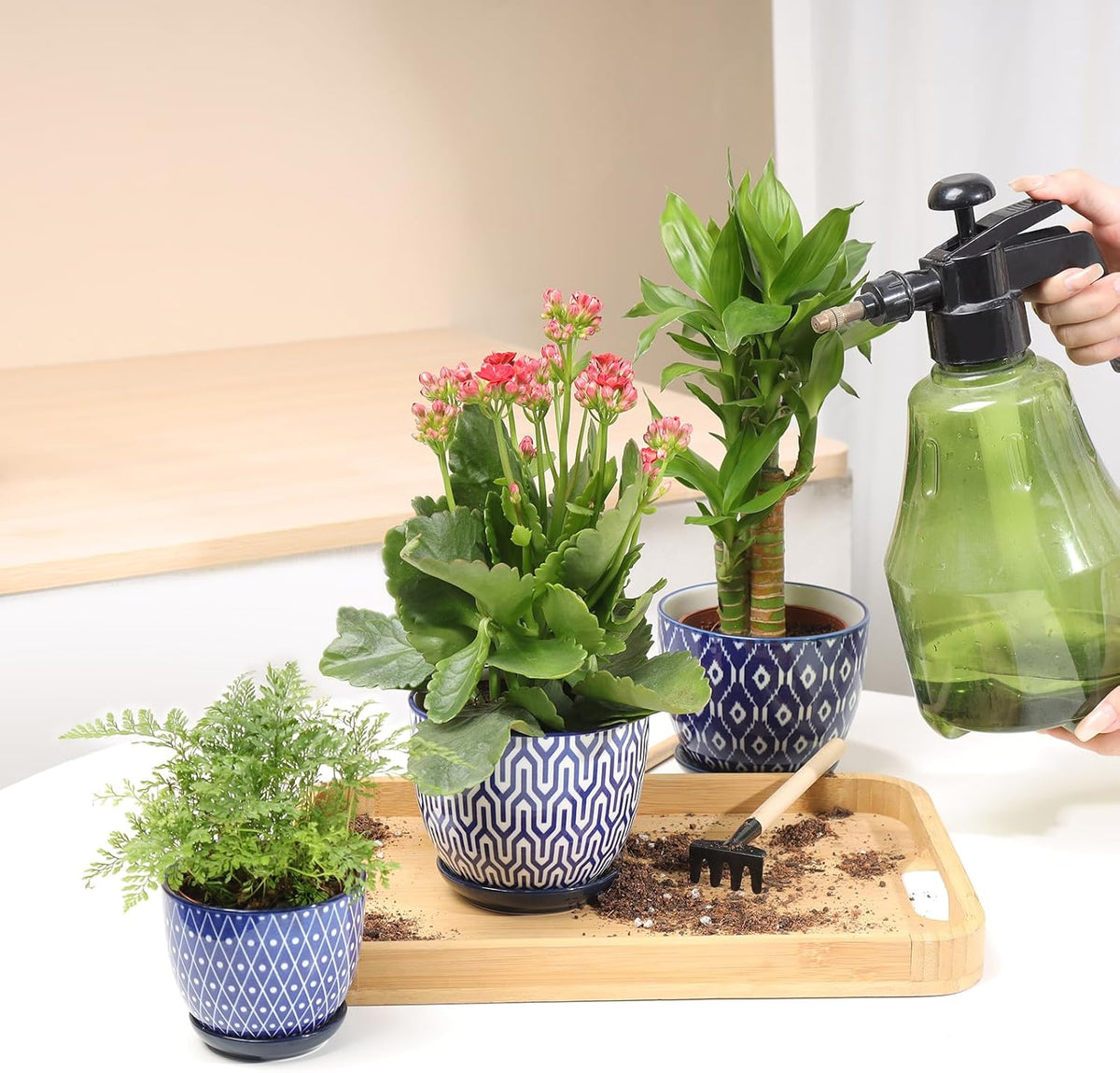 Selamica Ceramic Succulent Pots with Drainage Holes, Small Flower Pots 3.5 Inch Plant Pots for