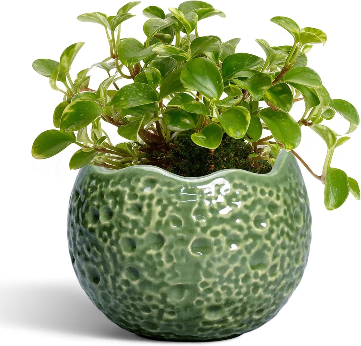 Ceramic Plant Pots - 4 inch Plant Pot with Drainage Hole, Small Pots for Plants Indoor Outdoor