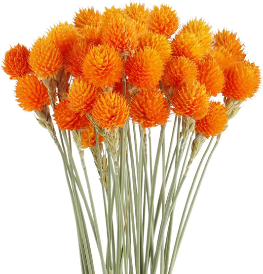 Dried Globe Amaranth Flower with Wheat Straw Natural - 40PCS Bouquet for Vase Home Decor Party DIY