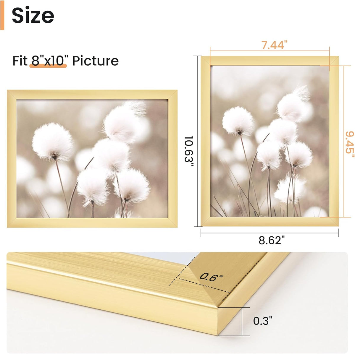 8x10 Picture Frame, Display 8x10 Photo Frames - High Definition Plexiglass - Vertical and