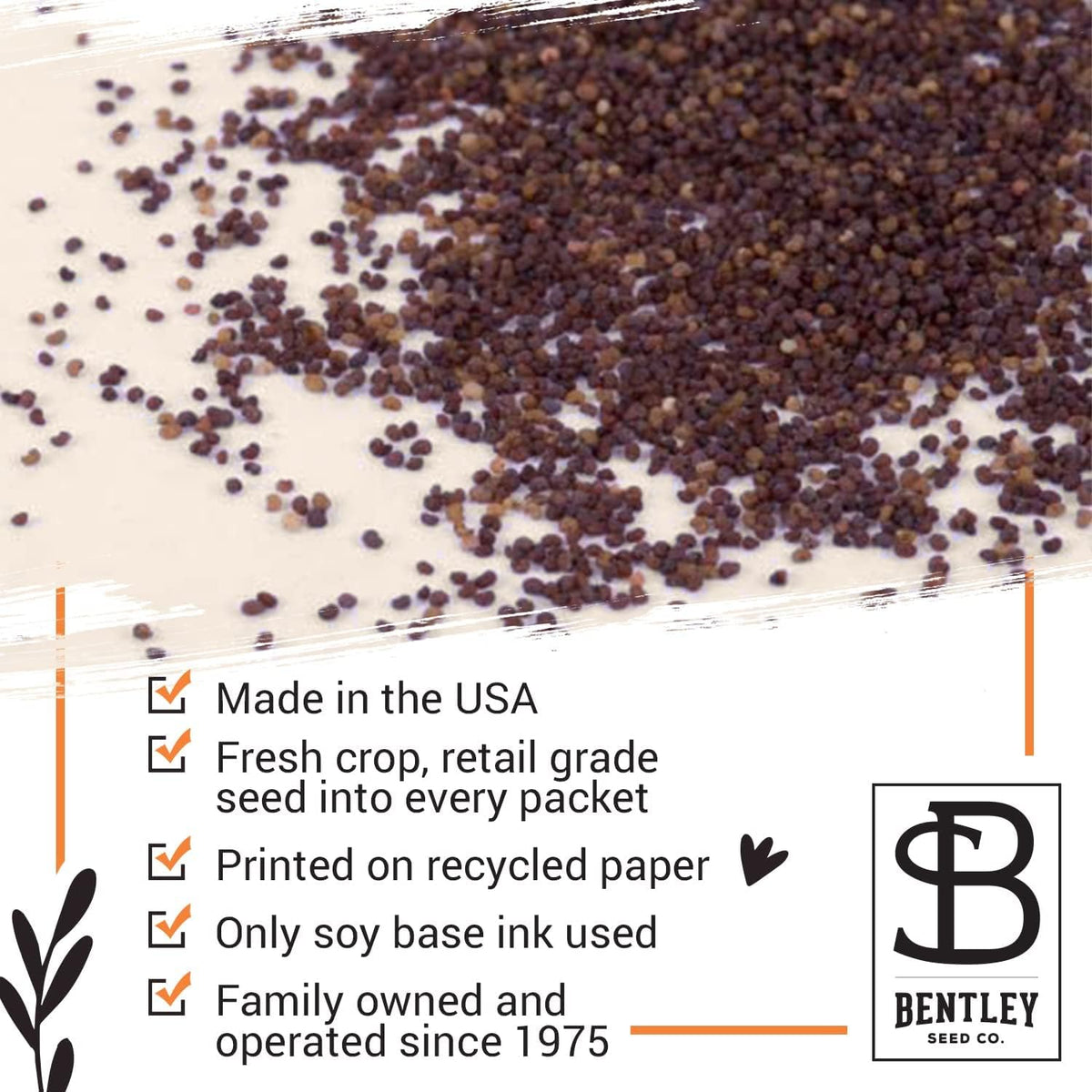 Bentley Seed Co. | Celebration of Life Funeral Favors for Guests | Non-GMO, Non-Coated Flanders