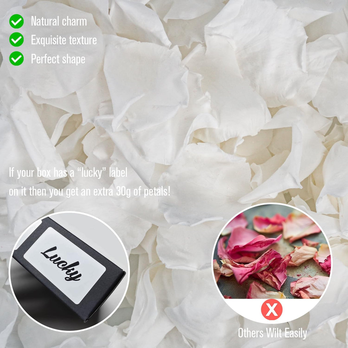 Rosaura Real Preserved Rose Petals 50g(1.75oz) for Wedding Decor, Romantic Nights - Includes Bonus