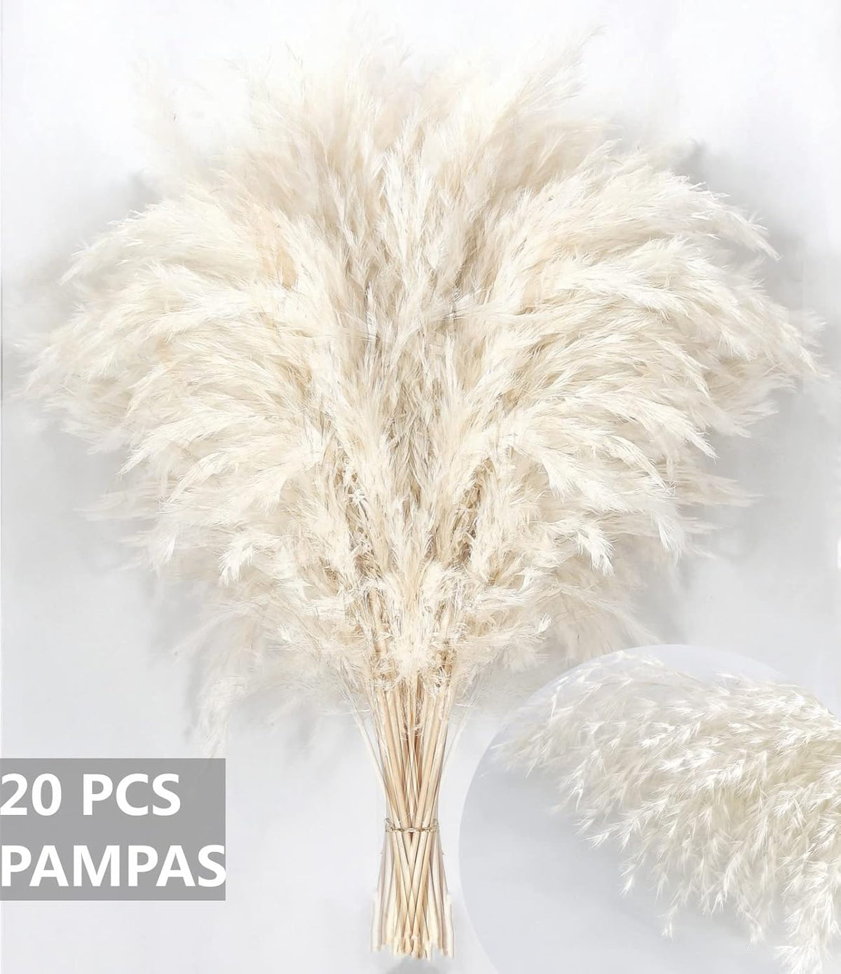 White Pampas Grass for Home Decor - Elegant Boho Decor - Premium Quality Pampas Grass Stems