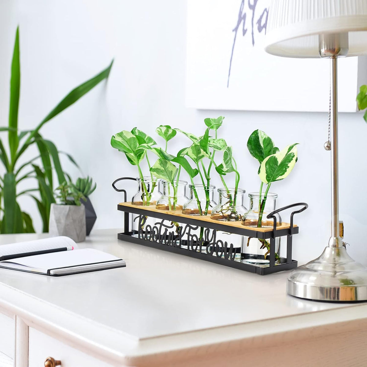 THYGIFTREE Plant Propagation Stations, Mothers Day Plant Lover Gifts for Mom Women Rooting for You