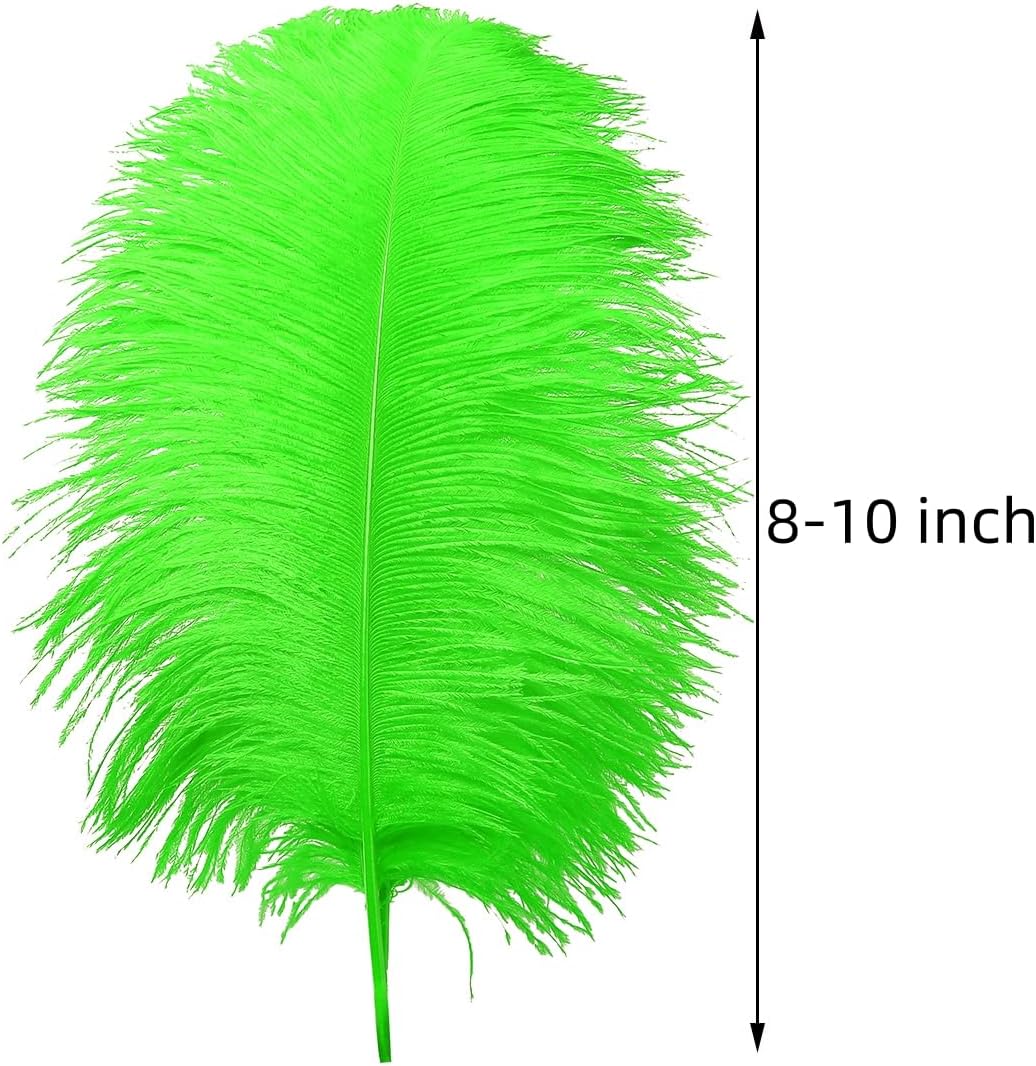 Ballinger Lime Green Ostrich Feathers - 24Pcs 8-10inch Large Green Feathers for Crafts,Wedding