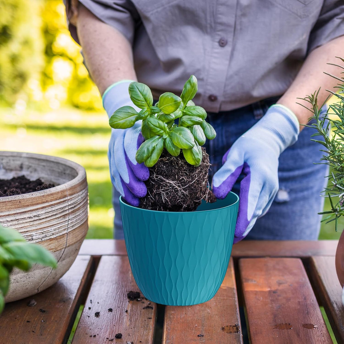 6 inch Plant Pots, 5 Pack Flower Pots with Drainage Holes and Saucers for Indoor Plants, Plastic