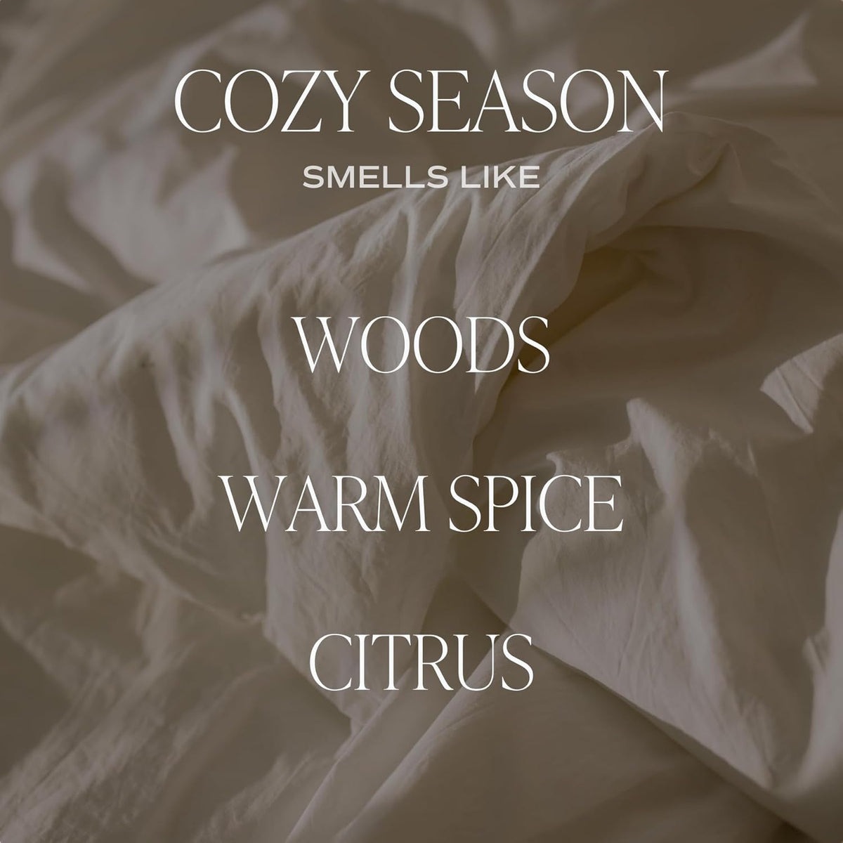 Sweet Water Decor Cozy Season Soy Candles - Fall Candles with Woods, Warm Spice, and Citrus Scent