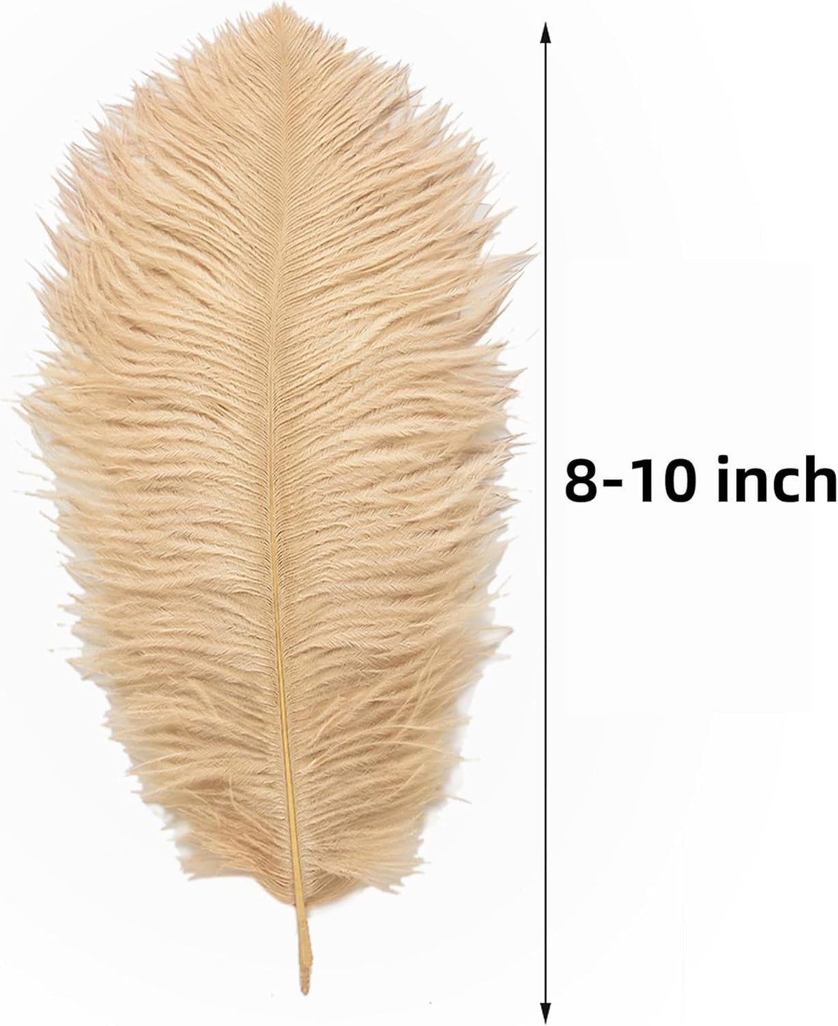 Ballinger Large Champagne Ostrich Feathers - 24pcs 8-10inch Boho Feathers for vase and Home Decor