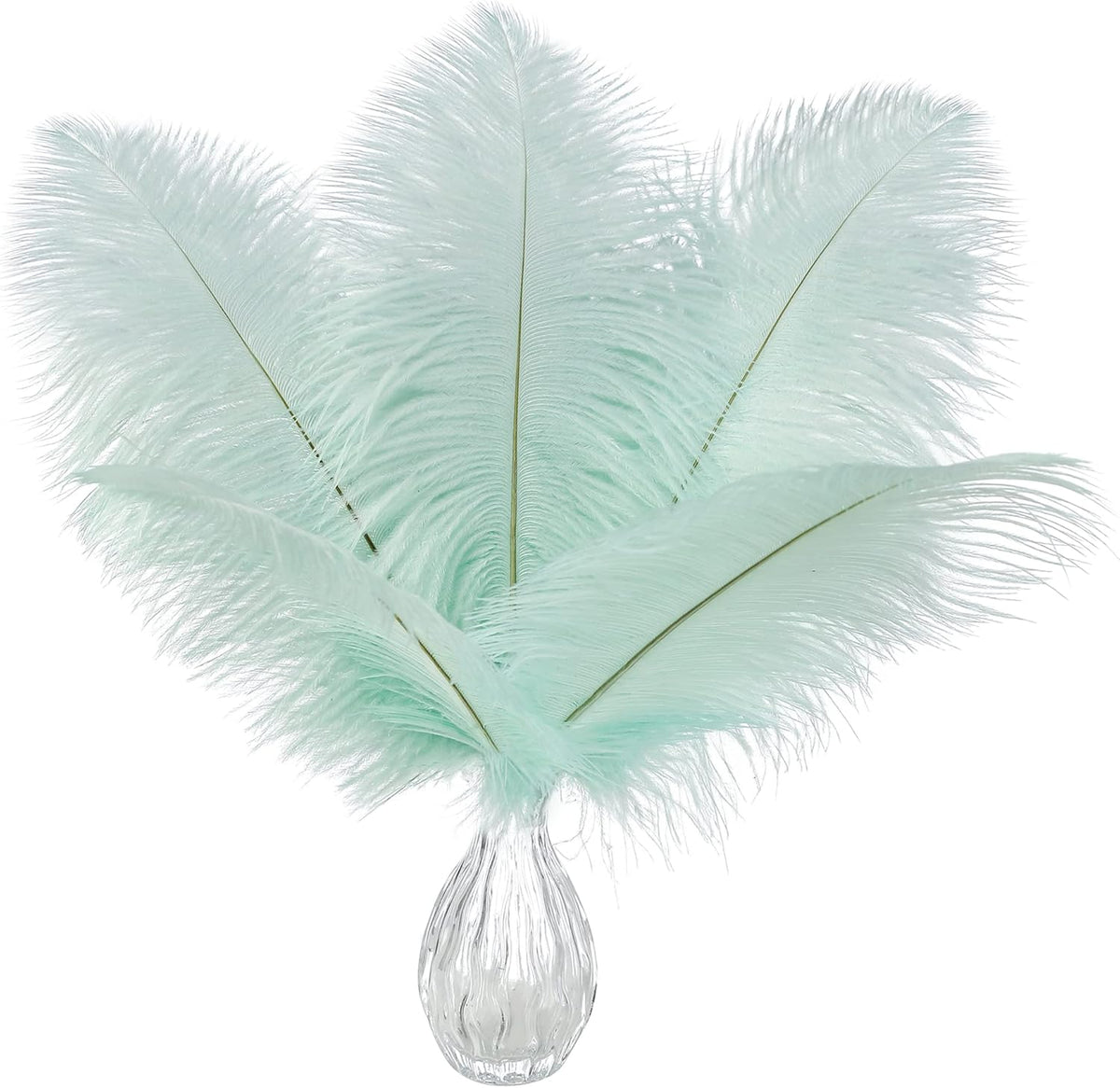 Ballinger Aqua Green Ostrich Feathers - 24pcs 8-10inch Craft Feathers Bulk for Wedding Party