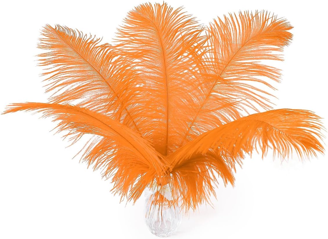 Ballinger Orange Large Ostrich Feathers - 24Pcs 10-12inch Large Orange Feathers for Vase,Wedding