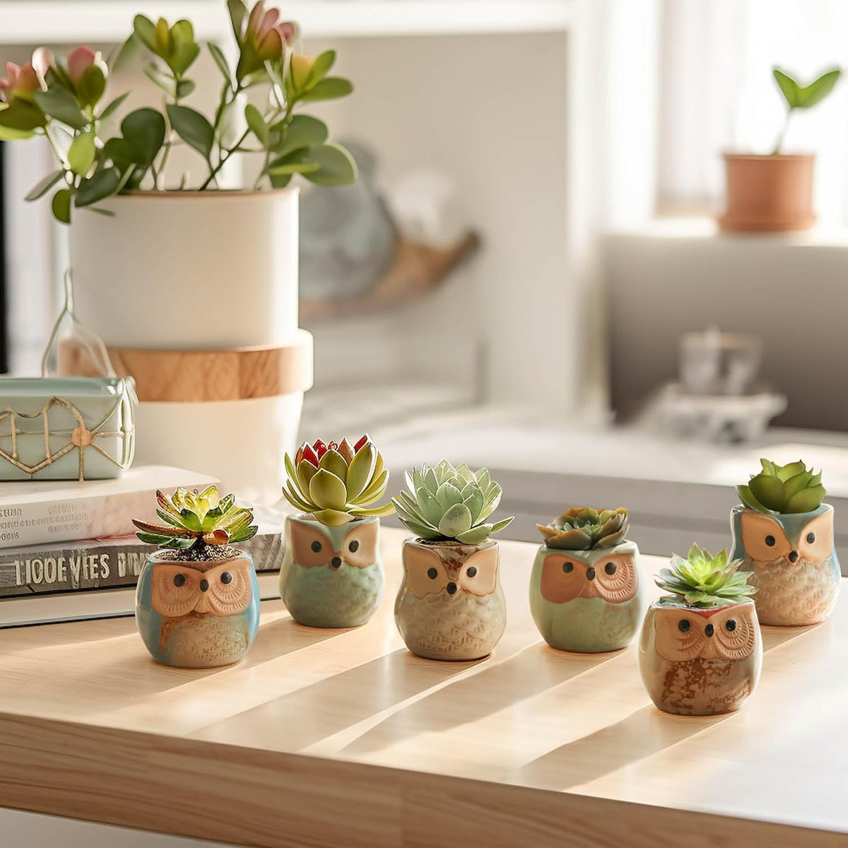 T4U 2.5 Inch Owl Ceramic Succulent Planter Pots with Drainage Hole Set of 12, Mini Cactus Pots Tiny