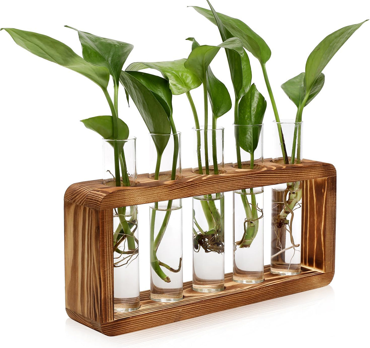 Glass Plant Propagation Station with 5 Test Tubes Colorful Planter Vase Birthday Gifts for Women