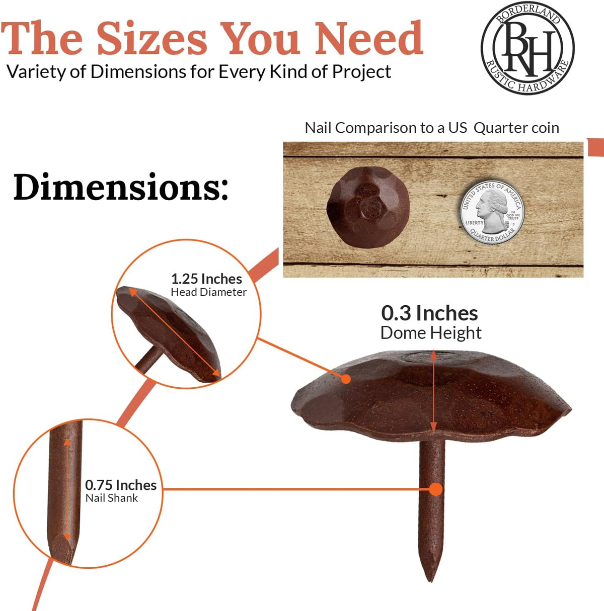 50 Pack 1.25" Round Head Iron Clavos Decorative Nails – Sealed Rusted – Handmade Rustic Round