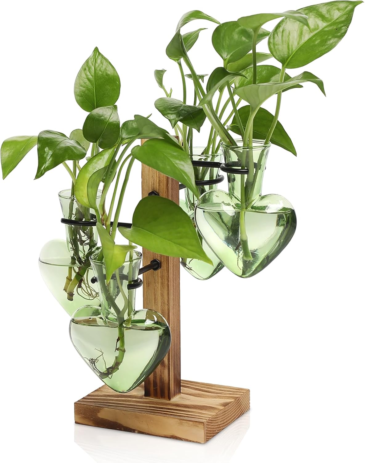 Plants Propagation Stations Plant Terrarium Kit Glass Planters for Indoor Plants House Plant