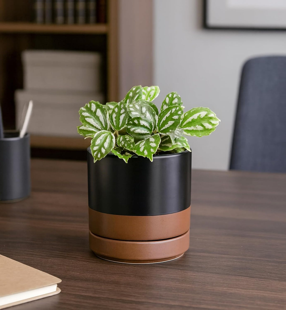 D'vine Dev Set of 4 Small Ceramic Plant Pots, 4.7 Inch Succulent Planter Pot for Plants with