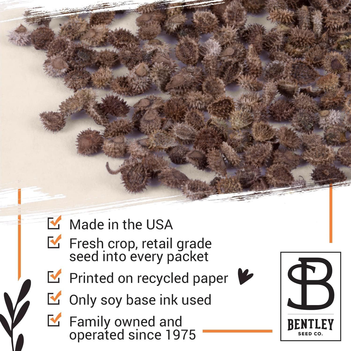 Bentley Seed Co. Thank You Packet - Help Us Grow Forget Me Not - 25 Seed Packets - Perfect